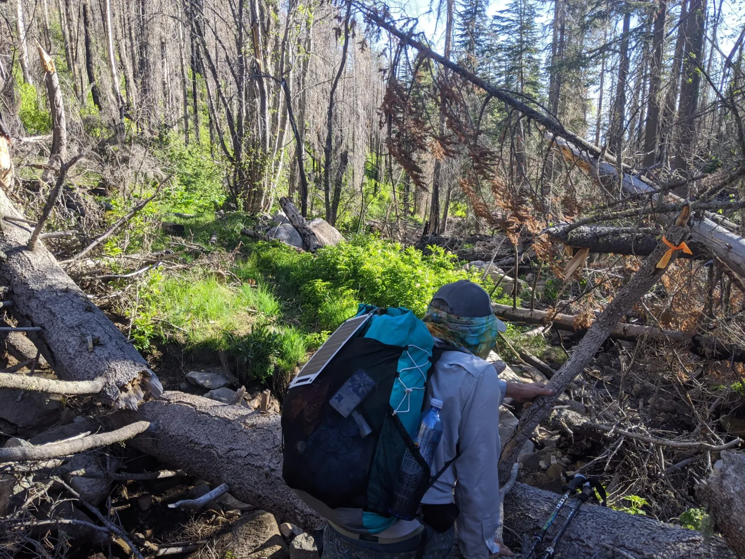 NHT DONATE PIC National Hiking Canada